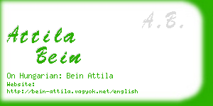 attila bein business card